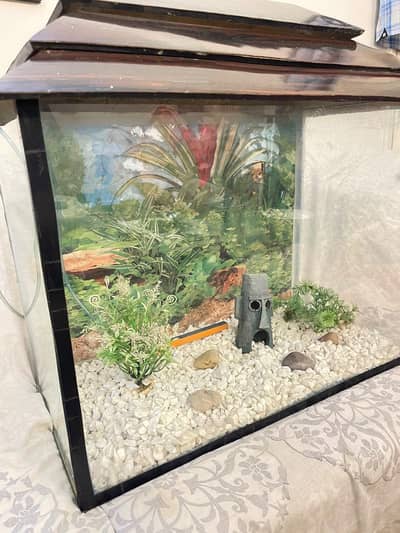 Aquarium mint condition urgent sale