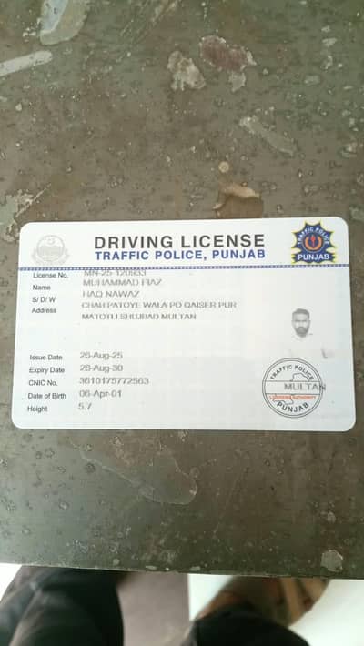 I'm a driver plus cook
