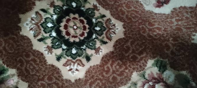 Room carpet /carpet
