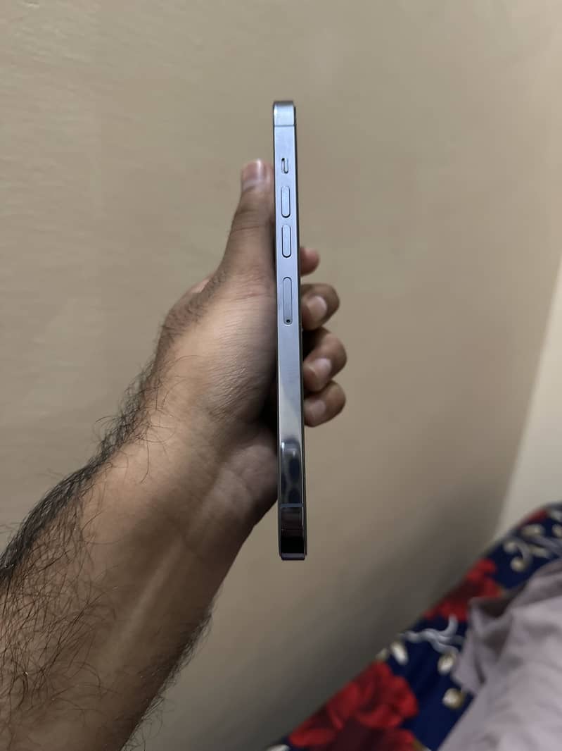 Apple iPhone 13 Pro Max 1
