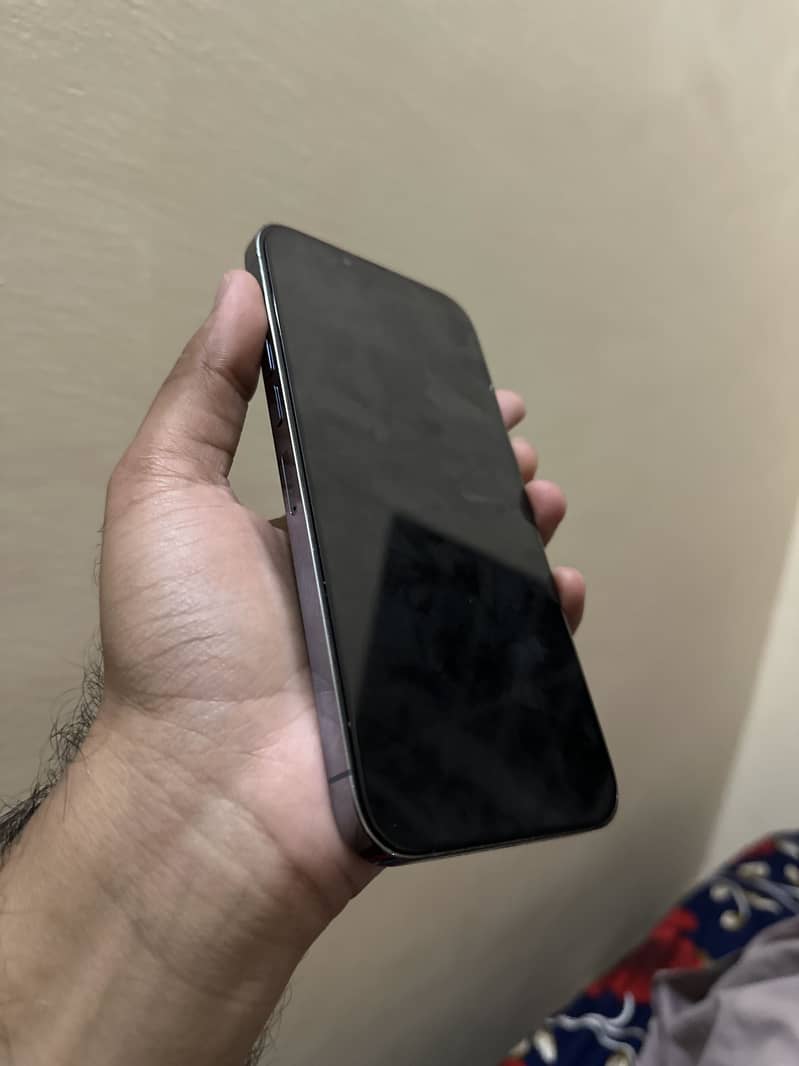 Apple iPhone 13 Pro Max 2