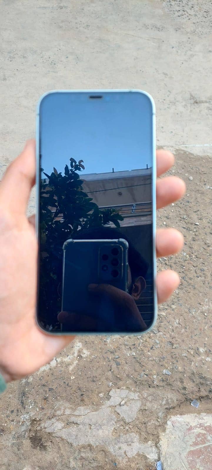 Apple iPhone 12 1
