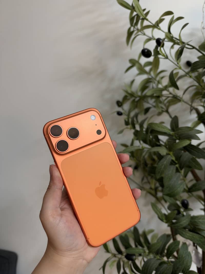Apple iPhone 17 Pro Max 4
