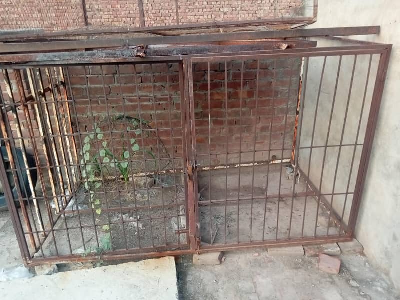 cages 1