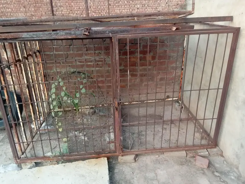 cages — photo 2