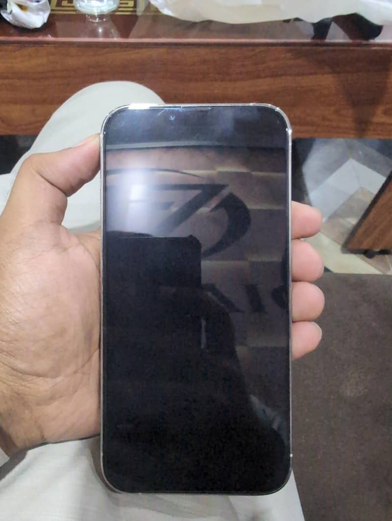 Apple iPhone 13 Pro Max 1