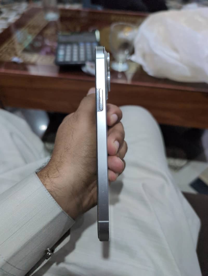 Apple iPhone 13 Pro Max 2
