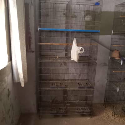 Bird Cage for sale