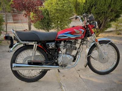 Honda 2024 Model Lush Condition