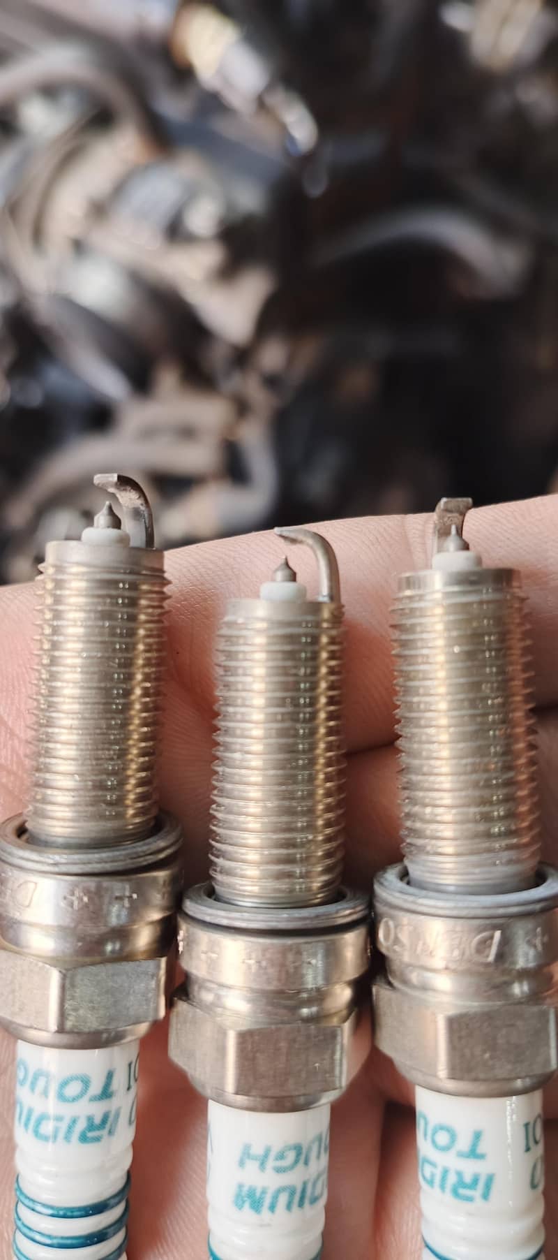 Japni plug available 5