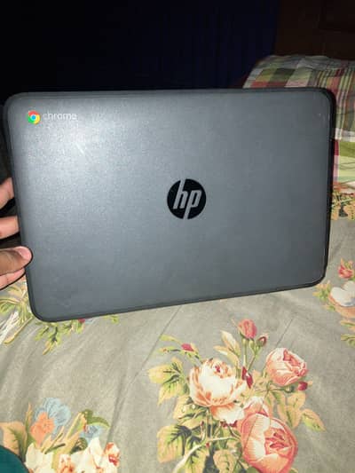 HP Chromebook
