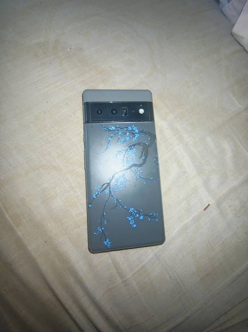 Google Pixel 6 Pro 0