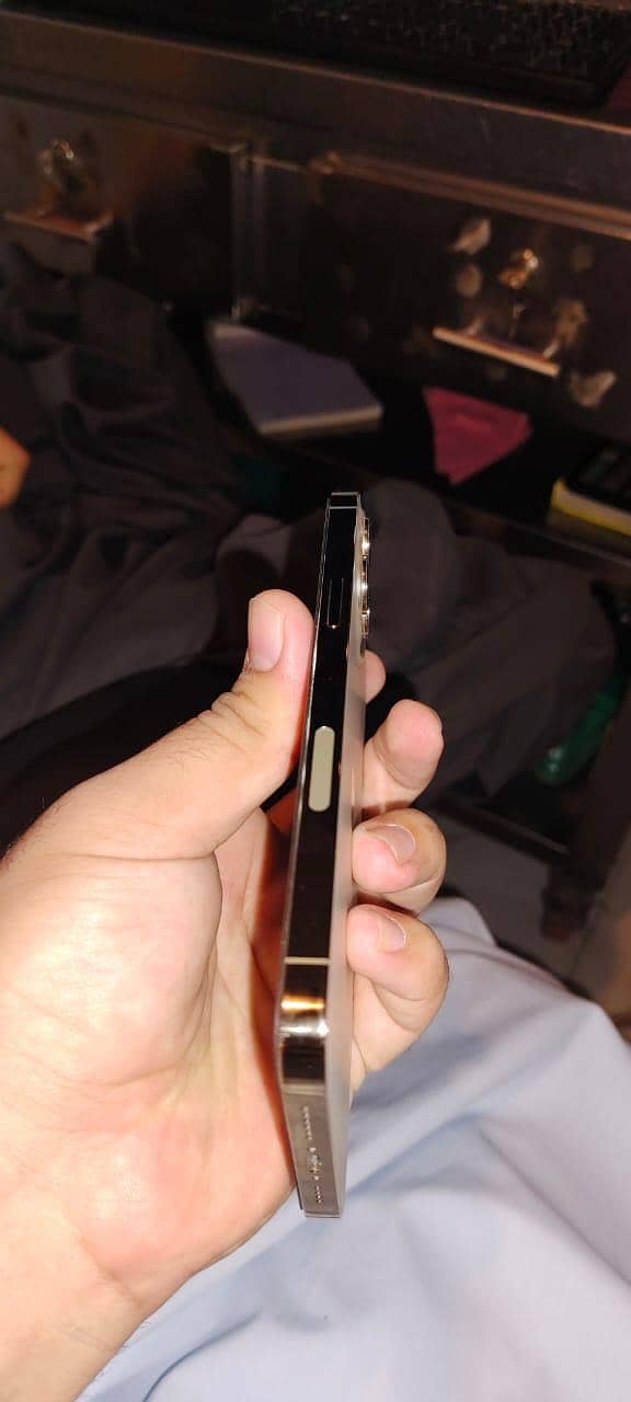 Apple iPhone 12 Pro Max 2