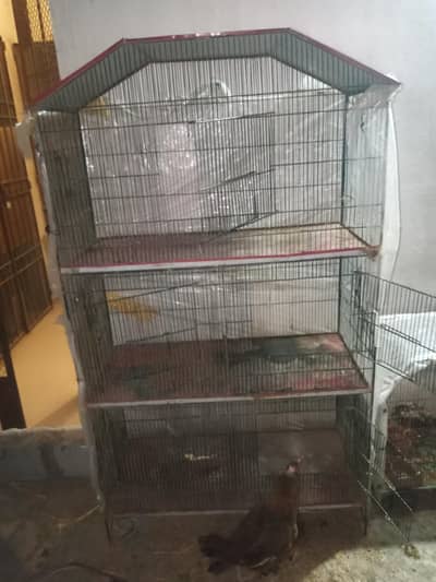 5 portion cage for sale