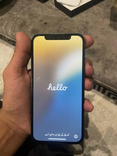Apple iPhone 12
