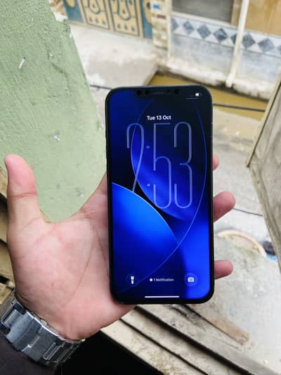 Apple iPhone 12 Pro Max