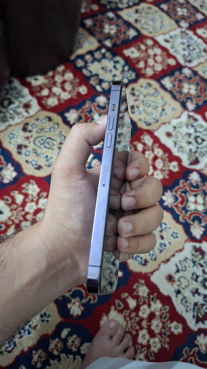 Apple iPhone 14 Pro Max 3