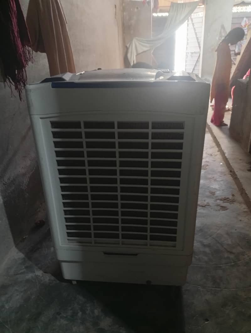گرمیاں میں لیا 1