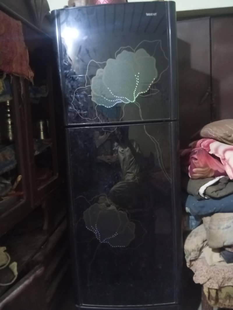 orient size medium colour black 2