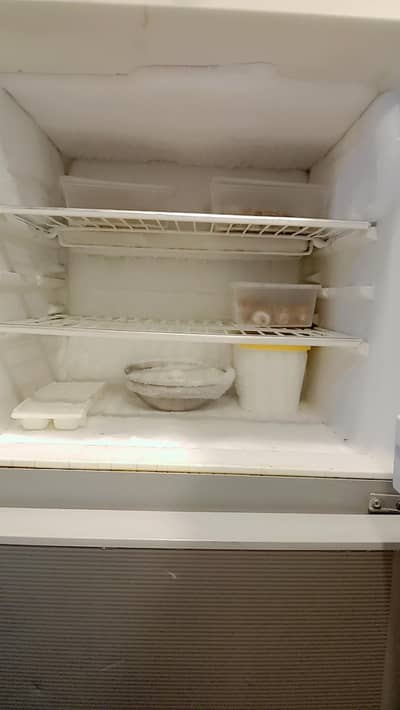 refrigerator