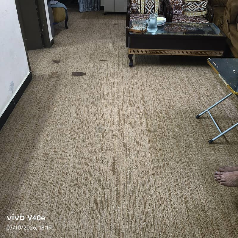 carpet 2