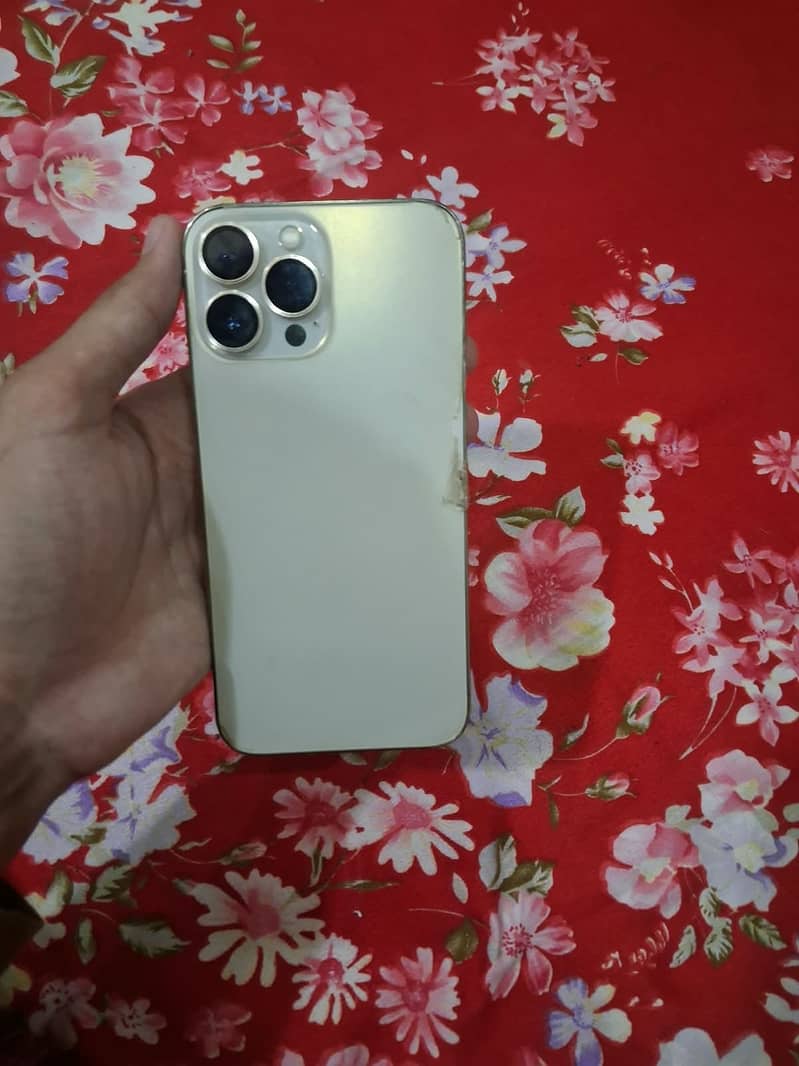 Iphone 13 pro max 0