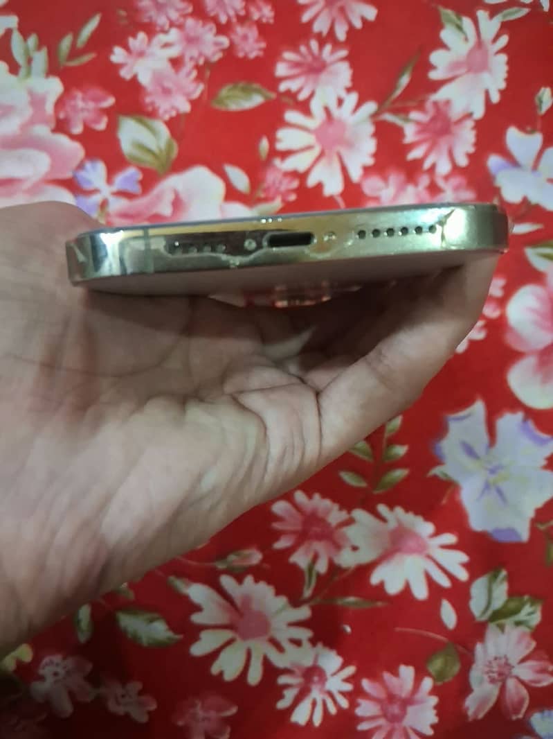 Iphone 13 pro max 1