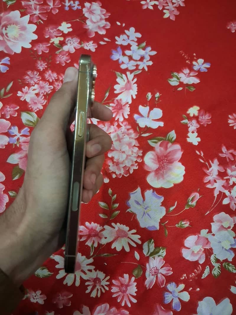 Iphone 13 pro max 2