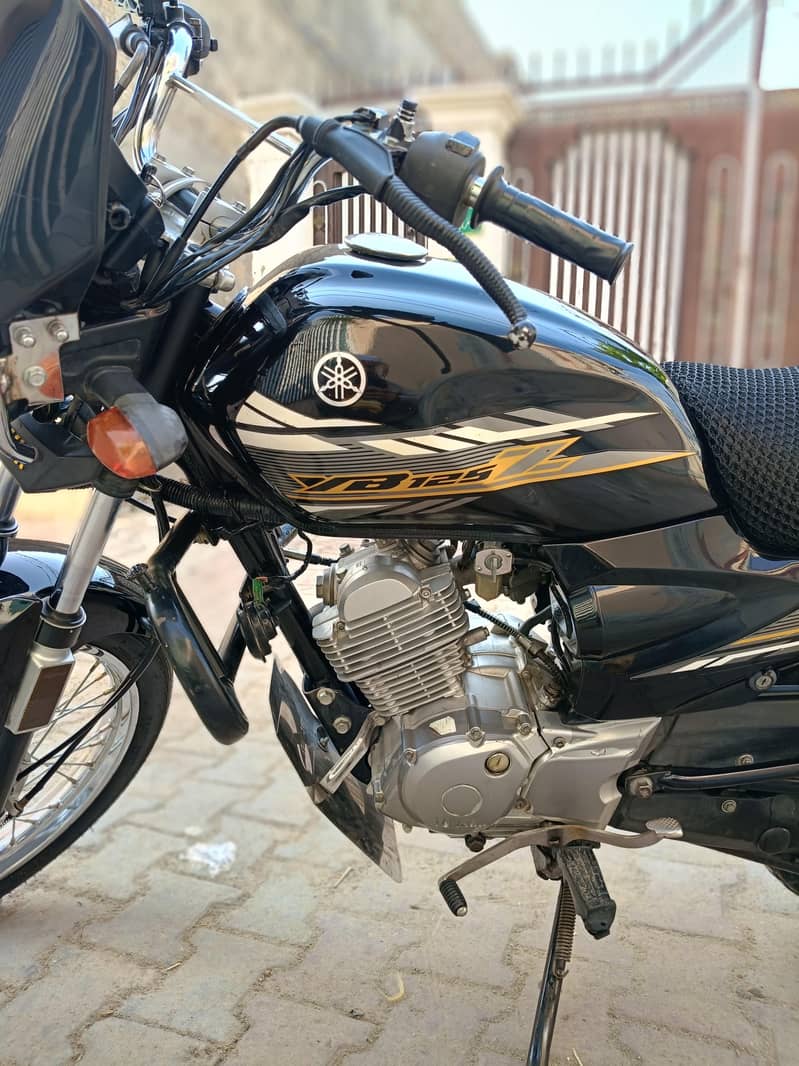 Yamaha YbZ 2020 model - Standard Bikes - 1120534915