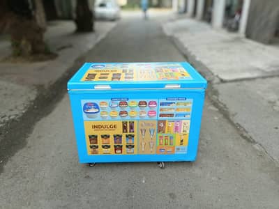 Ice Cream Caravell Deep freezer Singel door Fast cooling