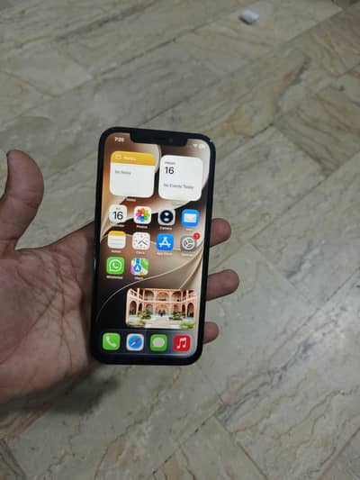 Apple iPhone 12