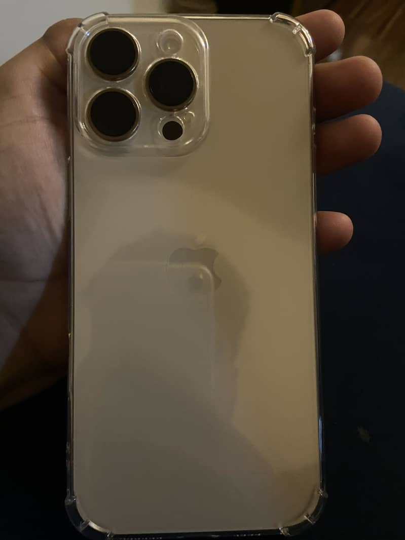 Apple iPhone 16 Pro Max 1