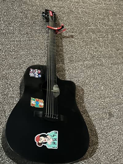 Professional guitar