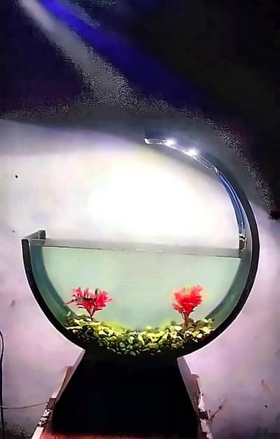 trending round shape aquarium