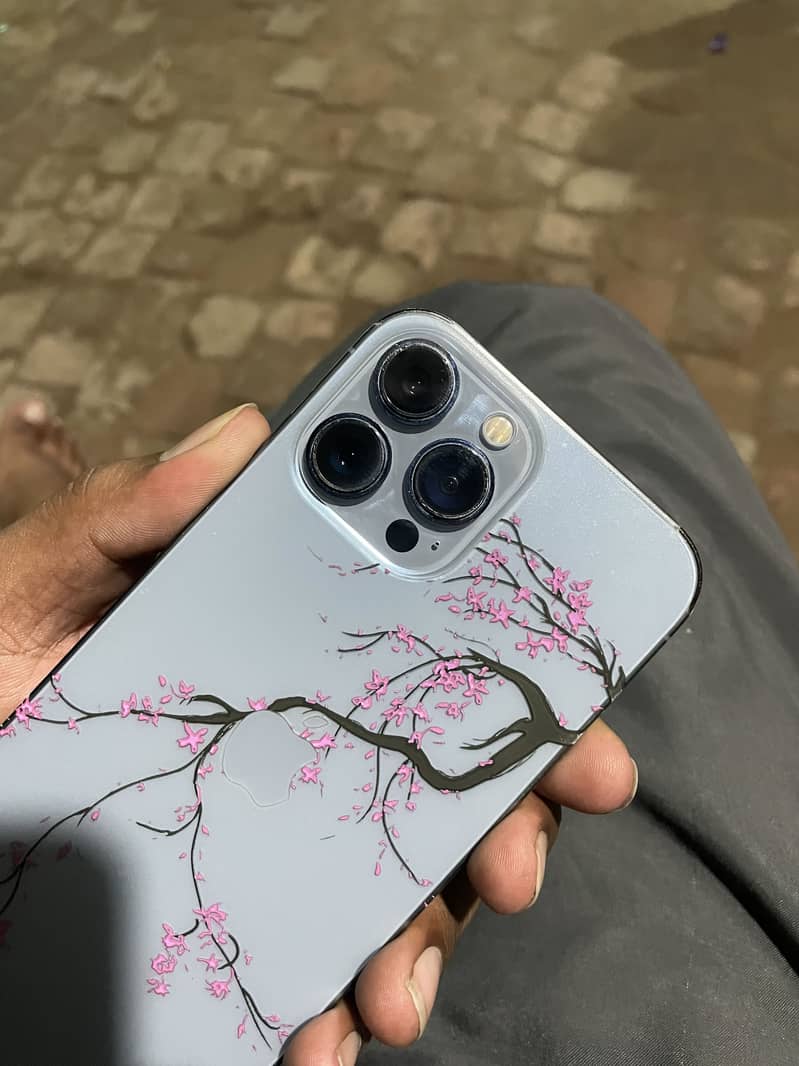 Apple iPhone 13 Pro Max 2