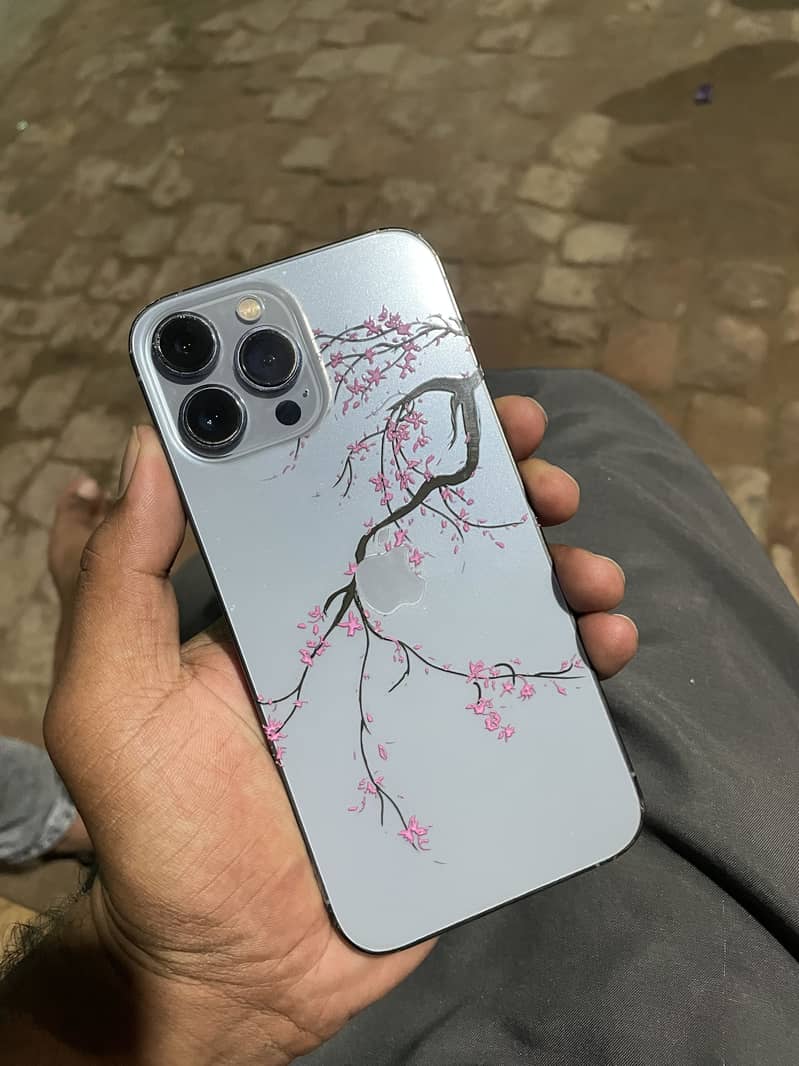 Apple iPhone 13 Pro Max 5