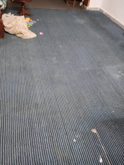 carpet