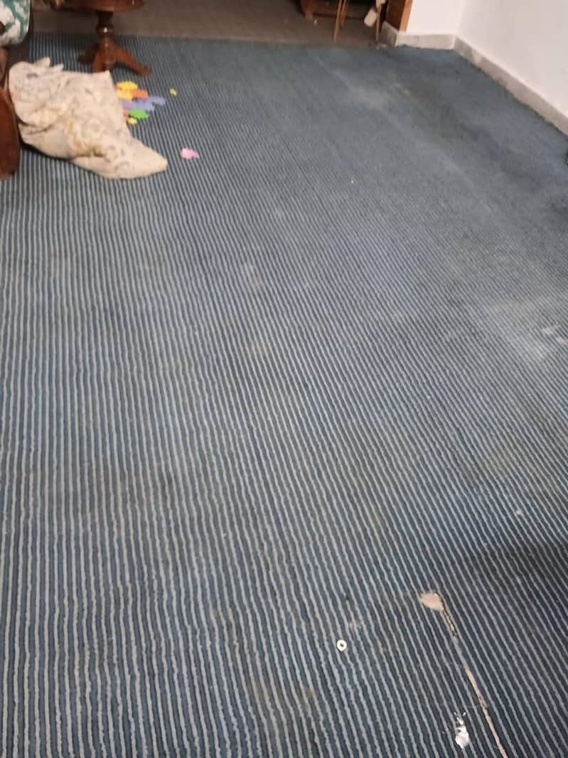 carpet 0