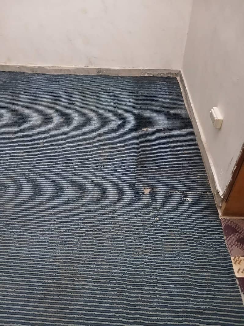 carpet 1