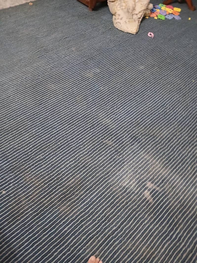 carpet 2