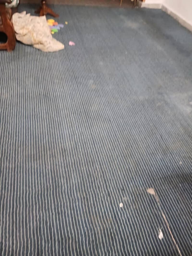 carpet 3