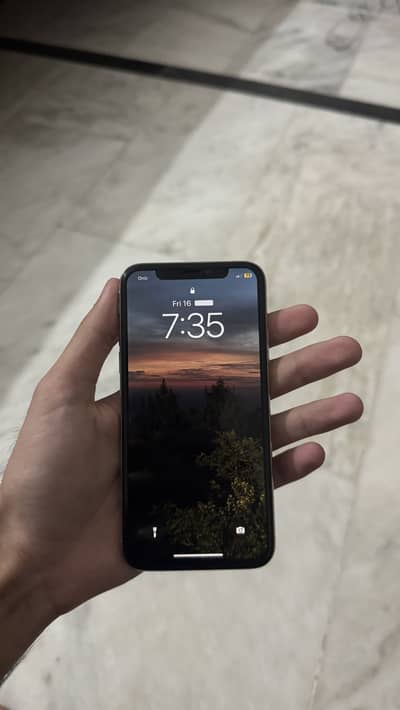 Apple iPhone X