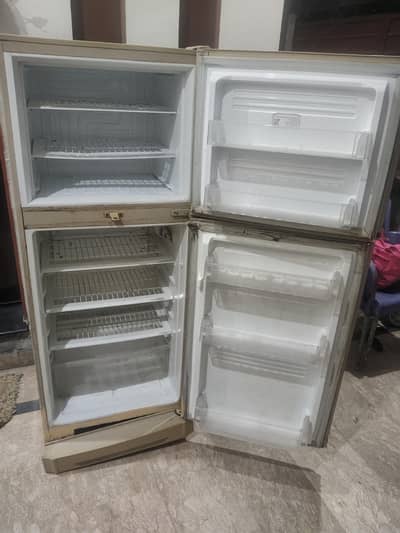 PEL Fridge