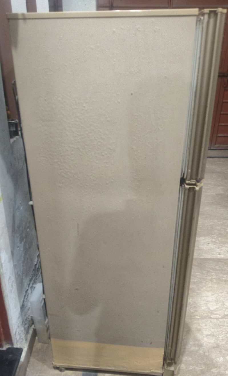 PEL Fridge 1