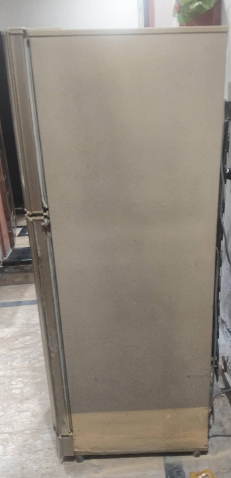 PEL Fridge 2