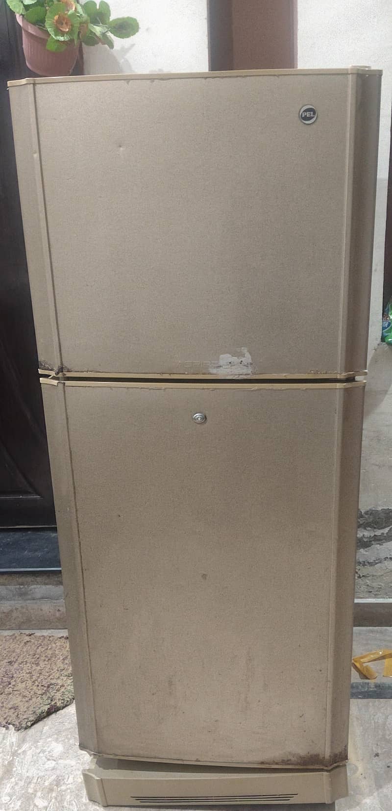 PEL Fridge 3