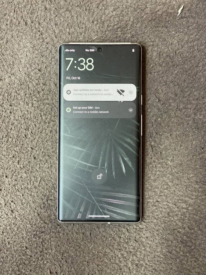 Google Pixel 6 Pro 1