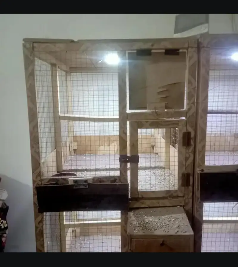 3 wooden cage 4 portion each for sale Rs 5500 Total 16500 — photo 2