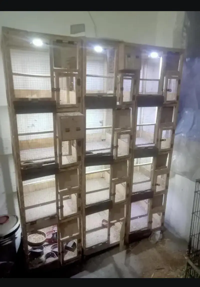 3 wooden cage 4 portion each for sale Rs 5500 Total 16500 — photo 3