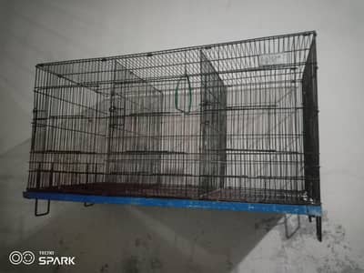Master company cage